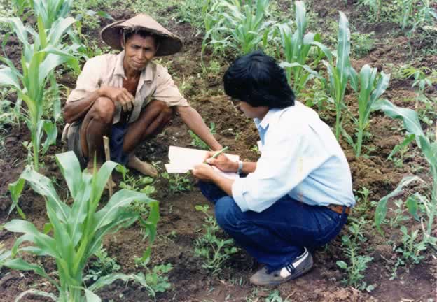 CVSIND103P Farmer interview on maize groundnut crop
