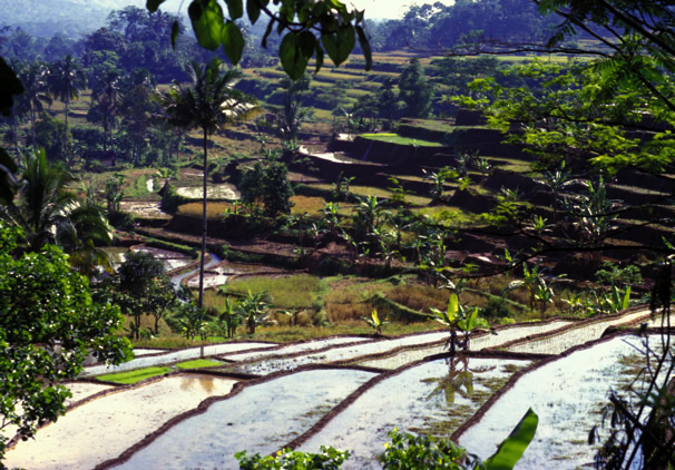 indonesia_title_image